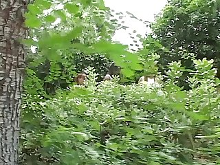 Black and white chunky cheerleaders use sex toys